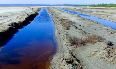 Green, diatom and blue-green algae in the blooming water of a coastal salt puddle on the shore