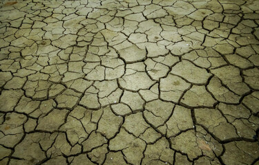 Healing silt dried up and cracked in the sun on the shore