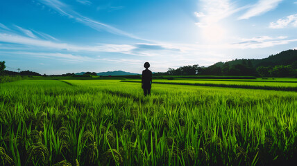 田んぼ シルエット 人 青空