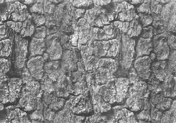 Old Weathered Wooden Background