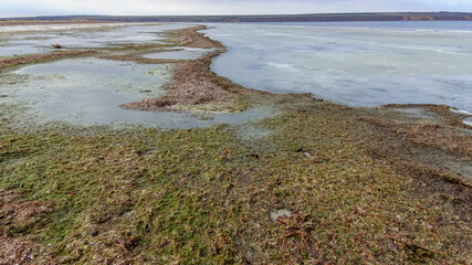 Storm discharges of mollusks and algae on the shore of the frozen Tiligul estuary in winter