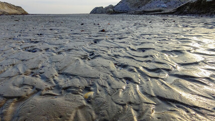 Waves on a muddy bottom in a sea channel at low tide