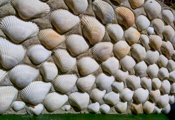 Interior wall inlay with bivalve shells Anadara kagoshimensis from the Black Sea