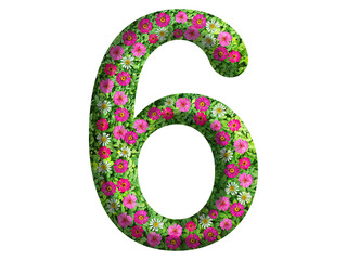 3d of the number 6 is made of green grass and beautiful flower isolated on transparent background. Go green concept for Memorial Day template