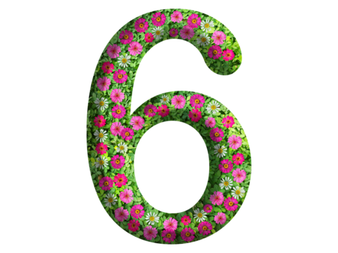 3d of the number 6 is made of green grass and beautiful flower isolated on transparent background. Go green concept for Memorial Day template