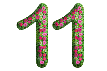 3d of the number 11 is made of green grass and beautiful flower isolated on transparent background. Go green concept for Memorial Day template