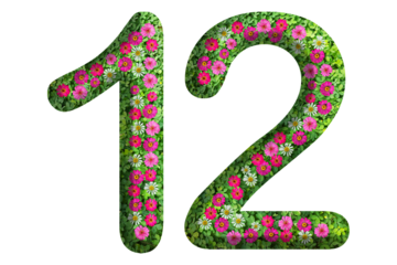 3d of the number 12 is made of green grass and beautiful flower isolated on transparent background. Go green concept for Memorial Day template