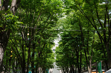 埼玉県さいたま市中央区にあるけやきひろばの景色