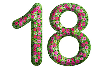 3d of the number 18 is made of green grass and beautiful flower isolated on transparent background. Go green concept for Memorial Day template