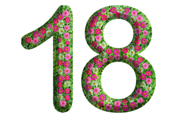 3d of the number 18 is made of green grass and beautiful flower isolated on transparent background. Go green concept for Memorial Day template