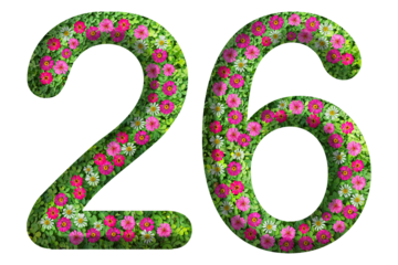 3d of the number 26 is made of green grass and beautiful flower isolated on transparent background. Go green concept for Memorial Day template