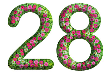 3d of the number 28 is made of green grass and beautiful flower isolated on transparent background. Go green concept for Memorial Day template