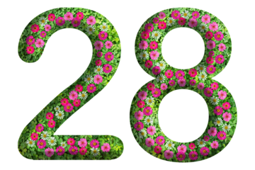 3d of the number 28 is made of green grass and beautiful flower isolated on transparent background. Go green concept for Memorial Day template