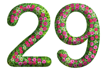 3d of the number 29 is made of green grass and beautiful flower isolated on transparent background. Go green concept for Memorial Day template
