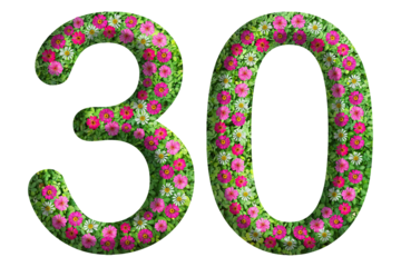 3d of the number 30 is made of green grass and beautiful flower isolated on transparent background. Go green concept for Memorial Day template