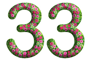 3d of the number 33 is made of green grass and beautiful flower isolated on transparent background. Go green concept for Memorial Day template