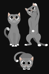 Set of three cute gray cats cartoon character isolated on dark background. One kitten sitting and looking up - front and top view, another one standing on hind legs, playing with something.