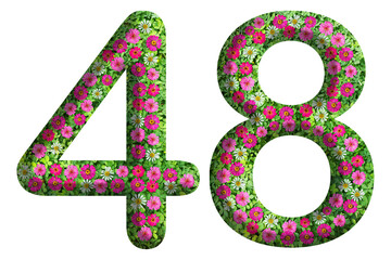 3d of the number 48 is made of green grass and beautiful flower isolated on transparent background. Go green concept for Memorial Day template