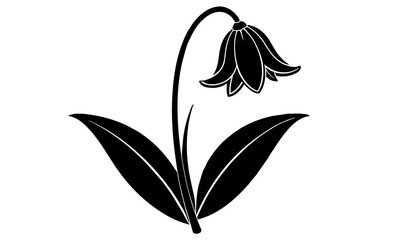 bluebell flower vector silhouette illustration