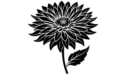 cornflower vector silhouette illustration