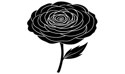 ranunculus flower vector silhouette illustration