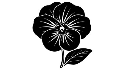 nasturtium  flower vector silhouette illustration