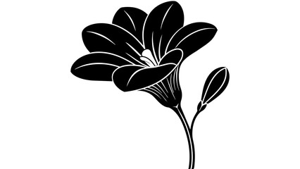  freesia  flower vector  silhouette illustration