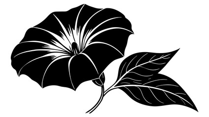 moonflower flower vector silhouette illustration