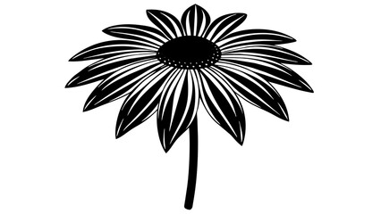 coneflower flower vector silhouette illustration