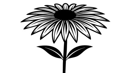 coneflower flower vector silhouette illustration