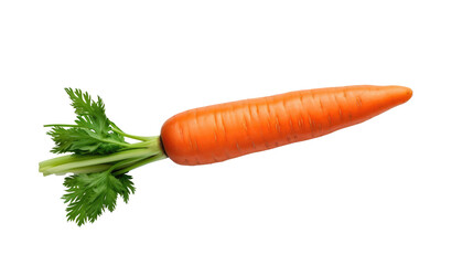 Fresh raw organic carrot on white isolated on clear png background and transparent background. Vegetable and food concept for health, AI generative.	