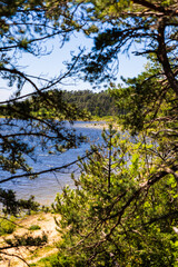 Lac de Saint-Ferréol, classé au Patrimoine Mondial de l’UNESCO, entouré de pins