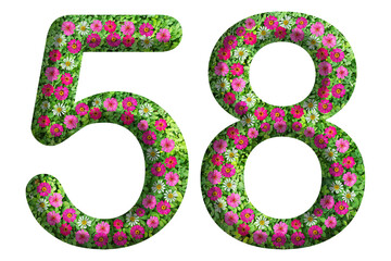 3d of the number 58 is made of green grass and beautiful flower isolated on transparent background. Go green concept for Memorial Day template