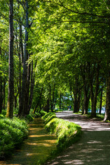 Chemin au bord du Lac de Saint-Ferréol, classé au Patrimoine Mondial de l’UNESCO, avec ses...