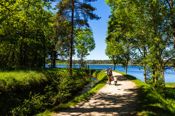 Chemin au bord du Lac de Saint-Ferréol, classé au Patrimoine Mondial de l’UNESCO, avec ses...