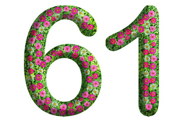 3d of the number 61 is made of green grass and beautiful flower isolated on transparent background. Go green concept for Memorial Day template