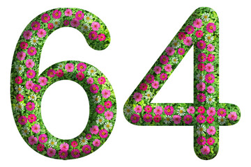 3d of the number 64 is made of green grass and beautiful flower isolated on transparent background. Go green concept for Memorial Day template