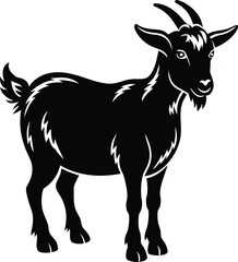 Pygmy goat Silhouette Vector illustration design