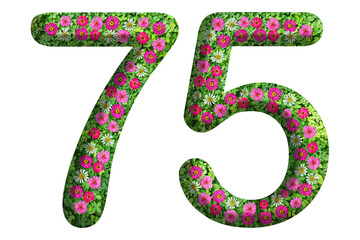 3d of the number 75 is made of green grass and beautiful flower isolated on transparent background. Go green concept for Memorial Day template