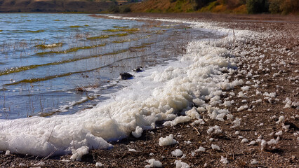 Environmental problem and pollution, eutrophication of a natural reservoir, dirty foam on the shore, Tiligul estuary