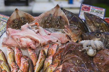Various fresh seafood and fish displayed on the table for sale in a fish shop or market. Octopus, swordfish, frogfish, goatfish ore red mullet, whiptail stingray, cod, sole