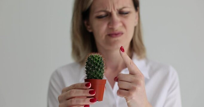 Prick of green prickly cactus and hand. Painful prick by cactus