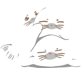 Cute white seal with Red ball