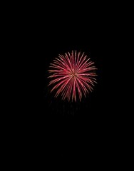 Fototapeta premium 打上げ花火