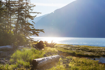 Bella Coola © Galyna Andrushko