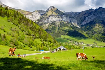 Fotobehang Annecy mountains Col de la Forclaz, Rhone alps in France. © lagunabluemolly
