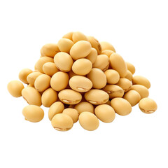 Real soy bean isolated on white background