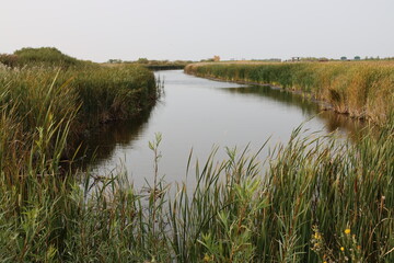 open water channel through prairie marsh land
