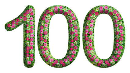 Fototapeta premium 3d of the number 100 is made of green grass and beautiful flower isolated on transparent background. Go green concept for memorial day template