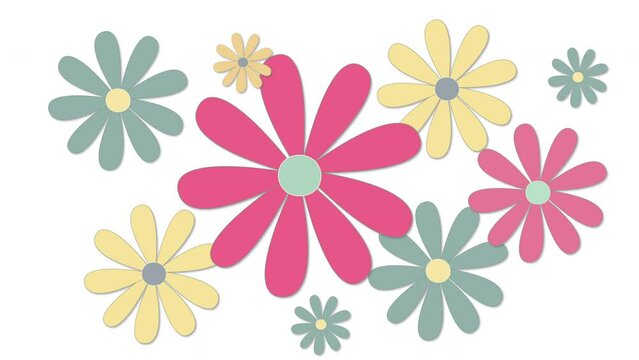 Animated  flower seamless looped background. Flowers animation with alpha channel. Yellow purple green daisy flowers on white background.	